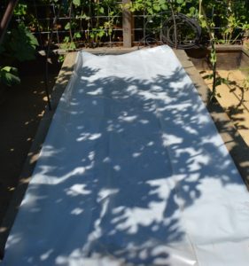 Solarization